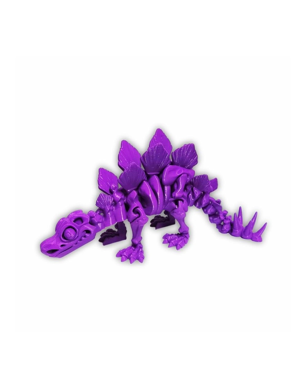 Stegosaurio skeleton