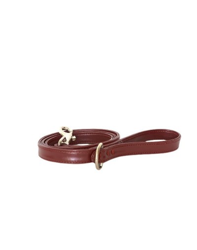 Correa para perro color red wine