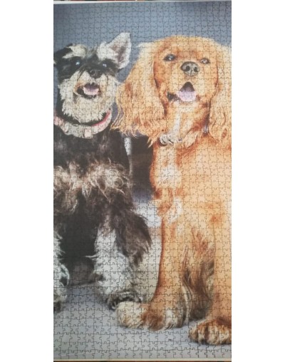 ROMPECABEZAS PERSONALIZADOS 2000 PIEZAS