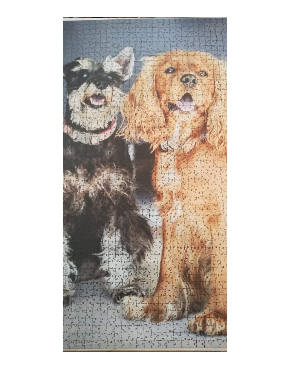 ROMPECABEZAS PERSONALIZADOS 2000 PIEZAS