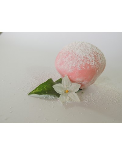 Helado Mochi x10