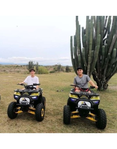 Cuatrimoto en el desierto de la tatacoa