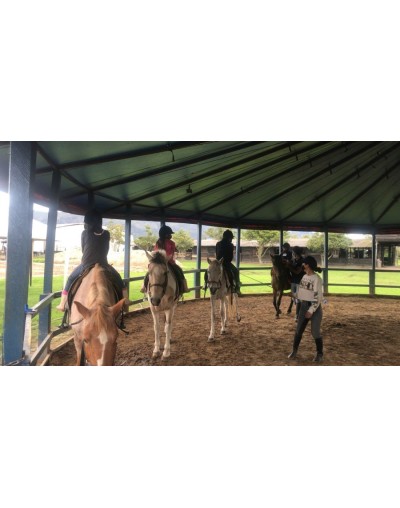 Equitación  vaulting