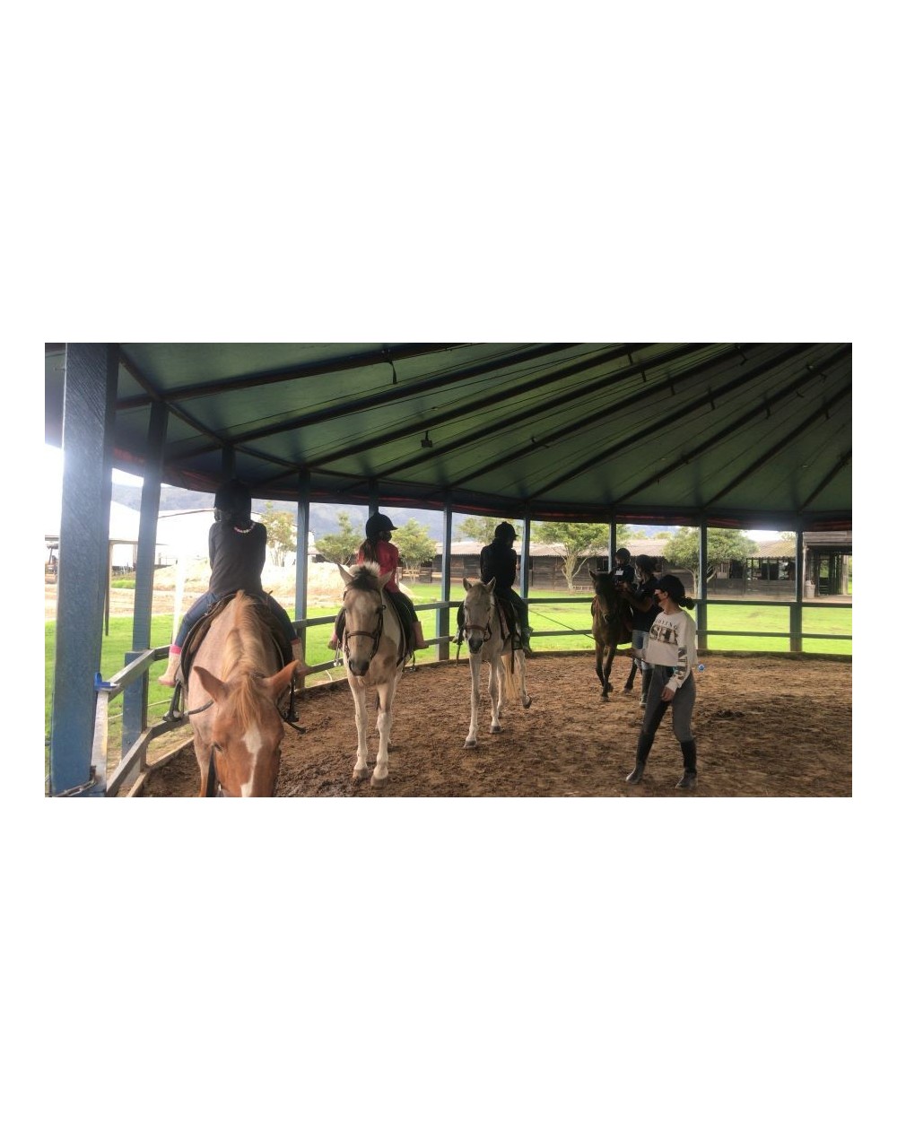 Equitación  vaulting