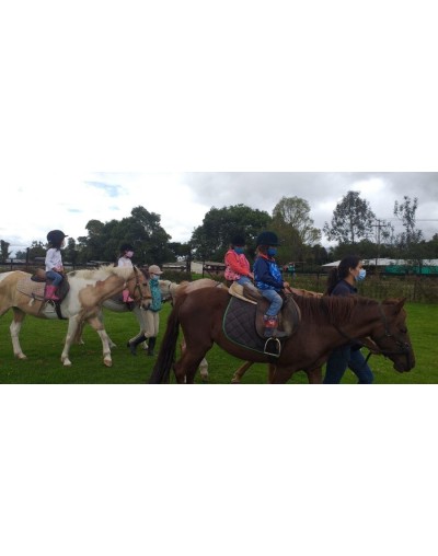 Equitación  vaulting