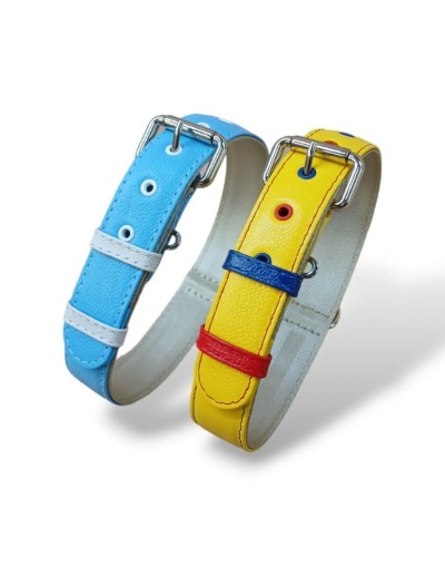 Collar para perro seleccion colombia