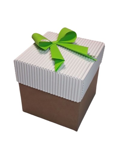Caja regalo tapa corrugado blanca