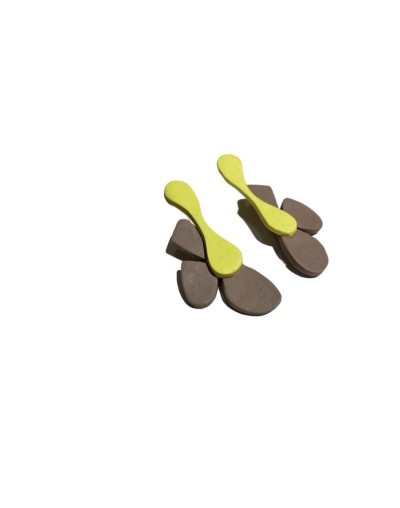 Aretes iris