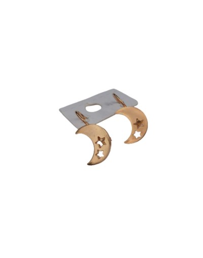 Aretes de gancho