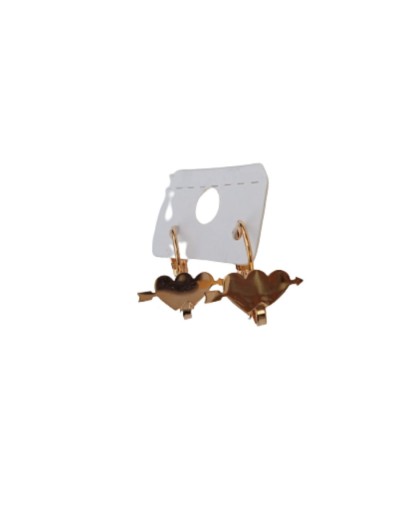 Aretes de gancho
