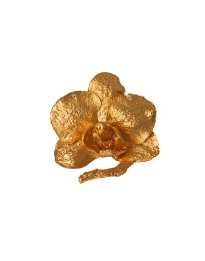 Anillo Orquidea Phalaenopsis Baby Ramita