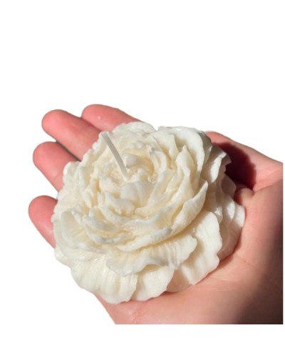 Vela de rosa