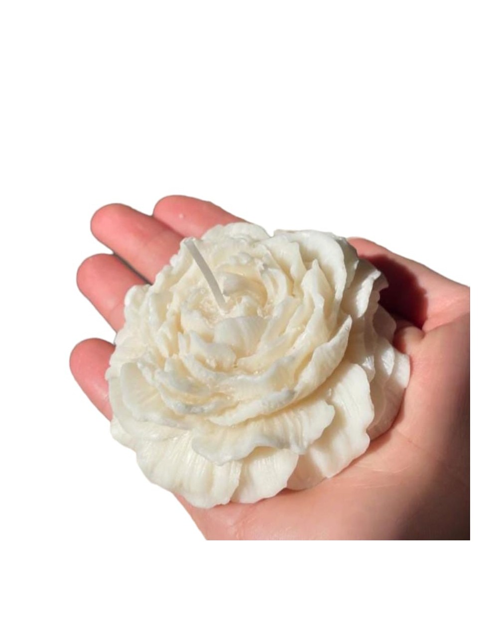 Vela de rosa