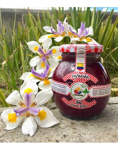 Infusión de frutos rojos