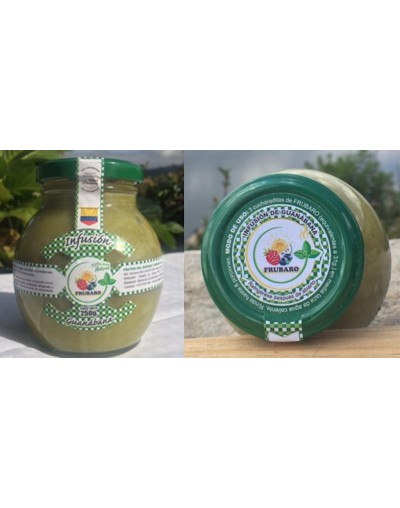Infusión de guanábana