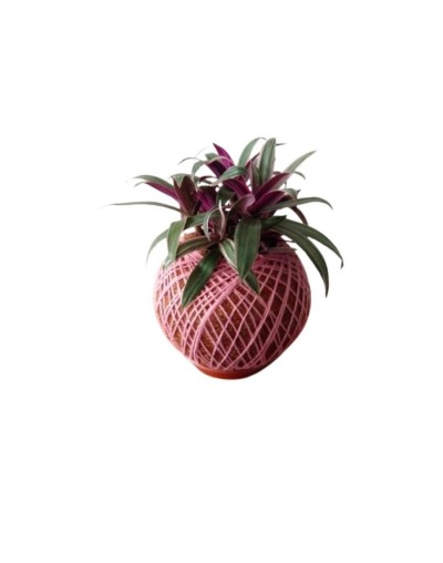 Kokedama con trandescantia