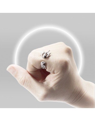 Anillo Oruga Dragón Ajustable