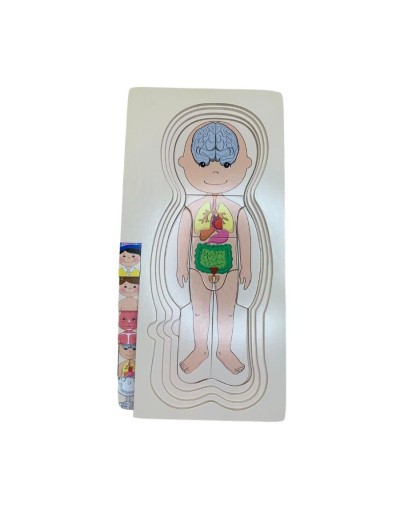Rompecabezas cuerpo humano