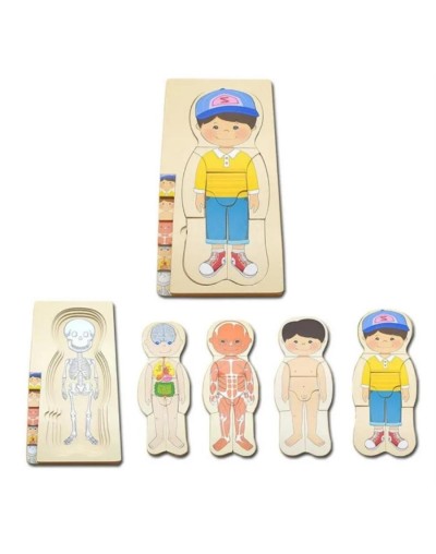 Rompecabezas cuerpo humano