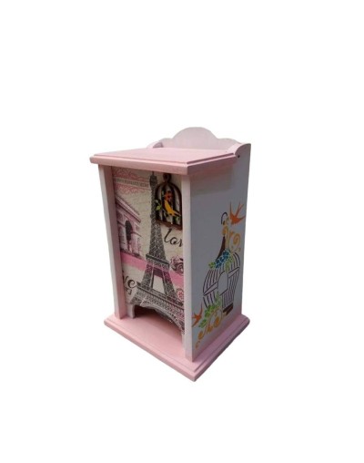 Dispensador de toallas femeninas