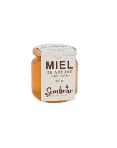 Miel de abejas origen Montería