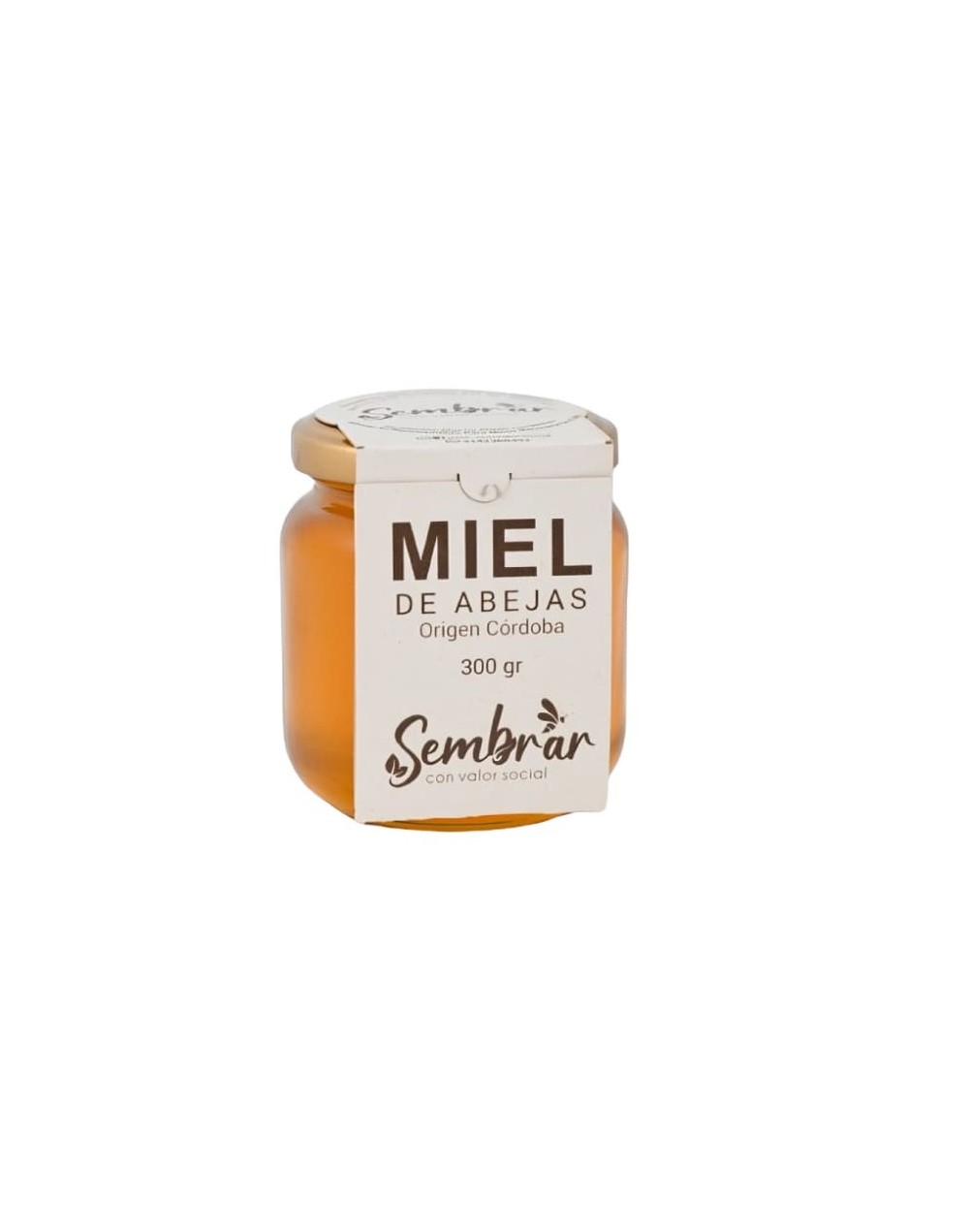 Miel de abejas origen Montería