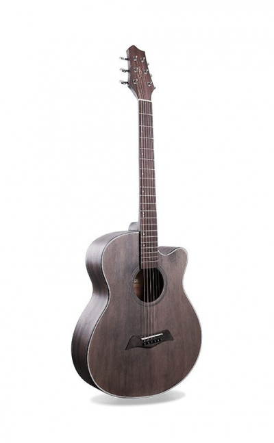 Guitarra Electroacústica Ref OL-AC-401A