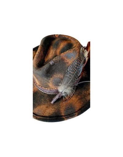 Sombrero galaxia