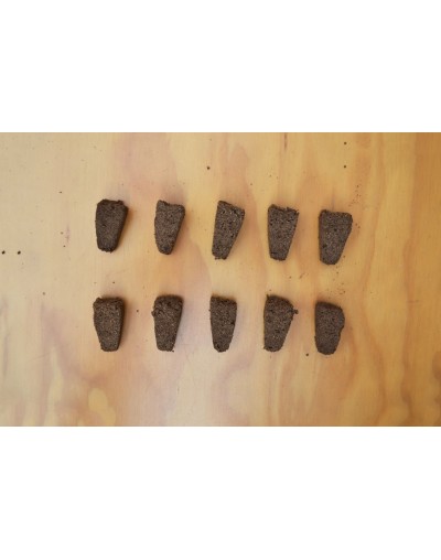 Plugs de Turba para Germinación