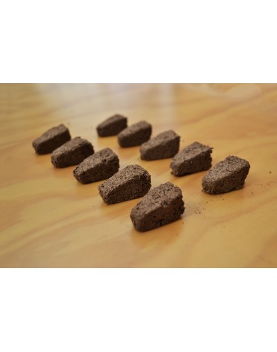 Plugs de Turba para Germinación