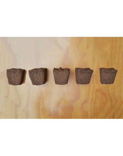 Plugs de Turba para Germinación
