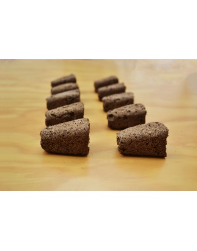Plugs de Turba para Germinación