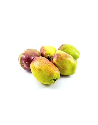 Manzana de agua