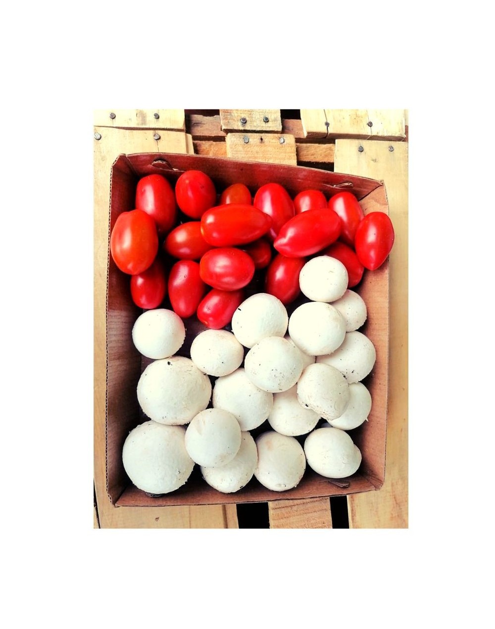 Mix champiñón + tomate cherry 400 gramos