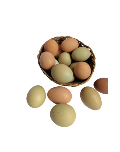 Huevos criollos