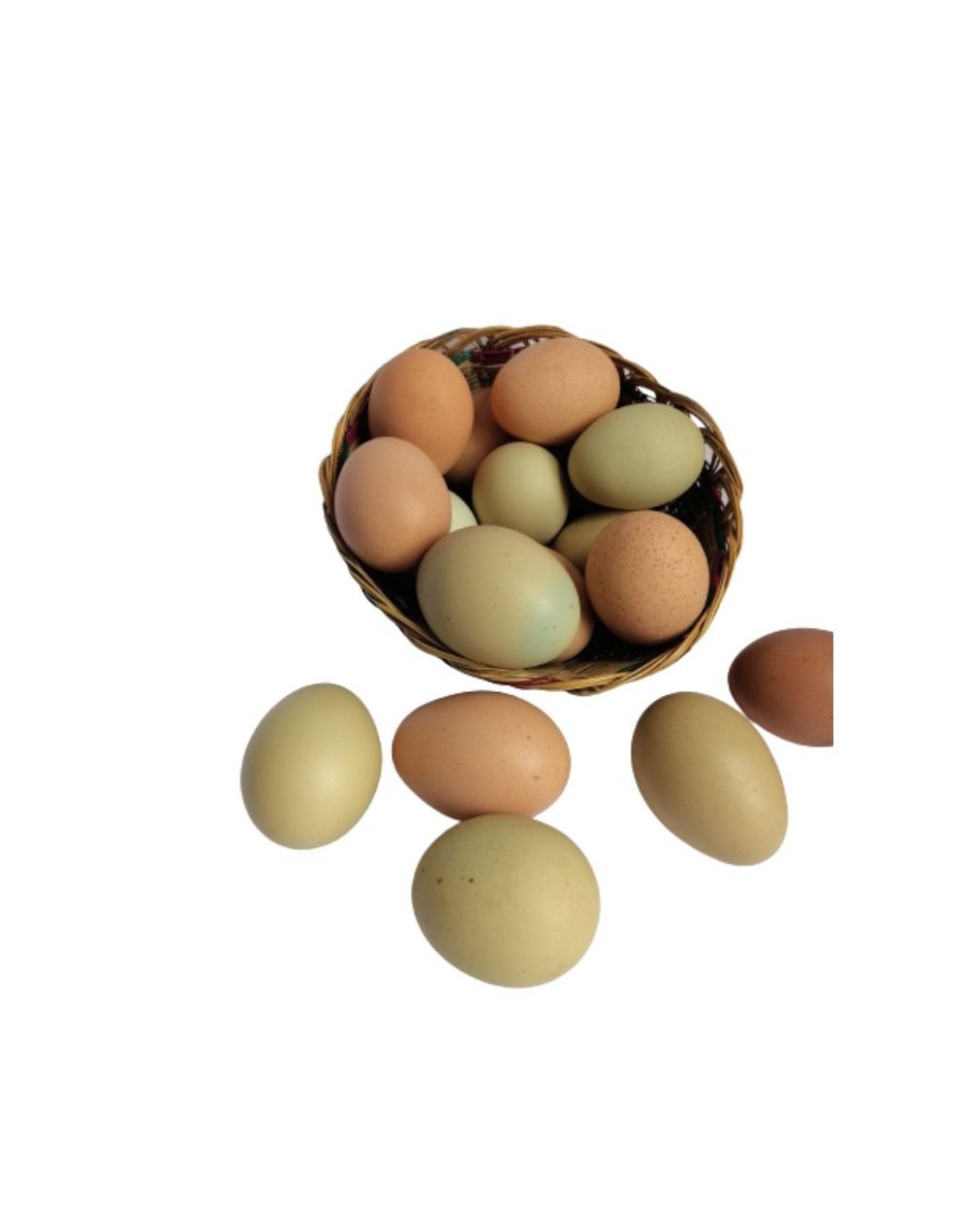 Huevos criollos
