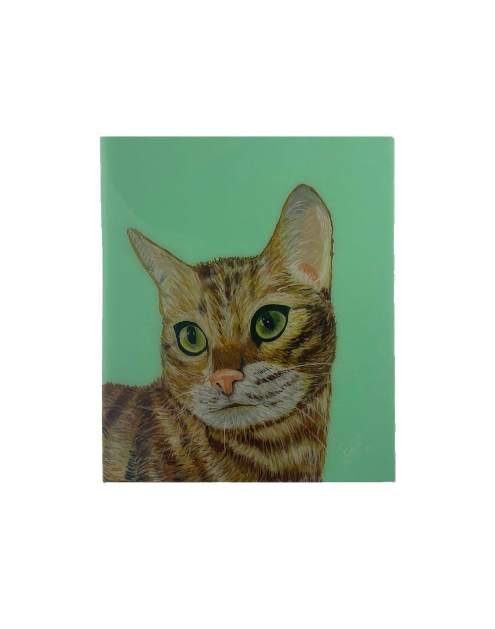 Cuadro mascotas personalizados