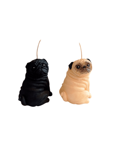 Pug