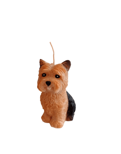 Yorkie