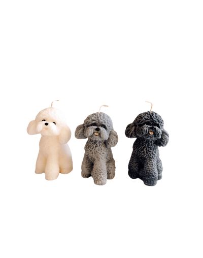 French poodle