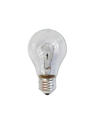 Bombillo Incandescente Claro 100w 120V Rosca E27