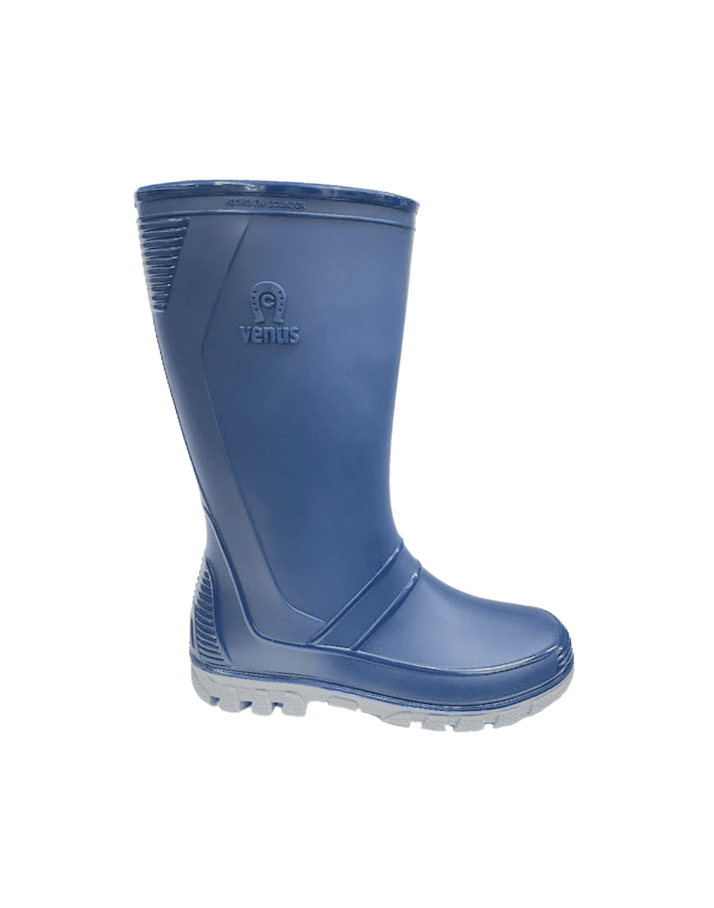Bota andina