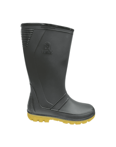 Bota andina