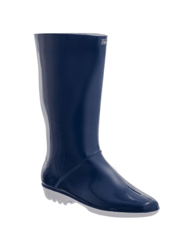 Bota feminela