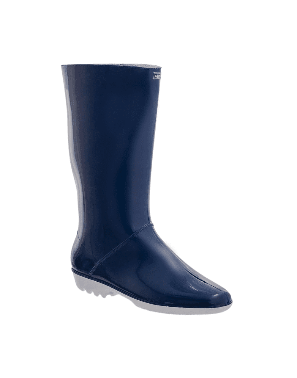 Bota feminela