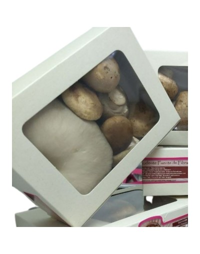 Mixtura de hongos frescos x 500 gr