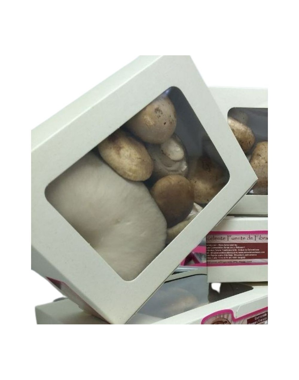 Mixtura de hongos frescos x 500 gr