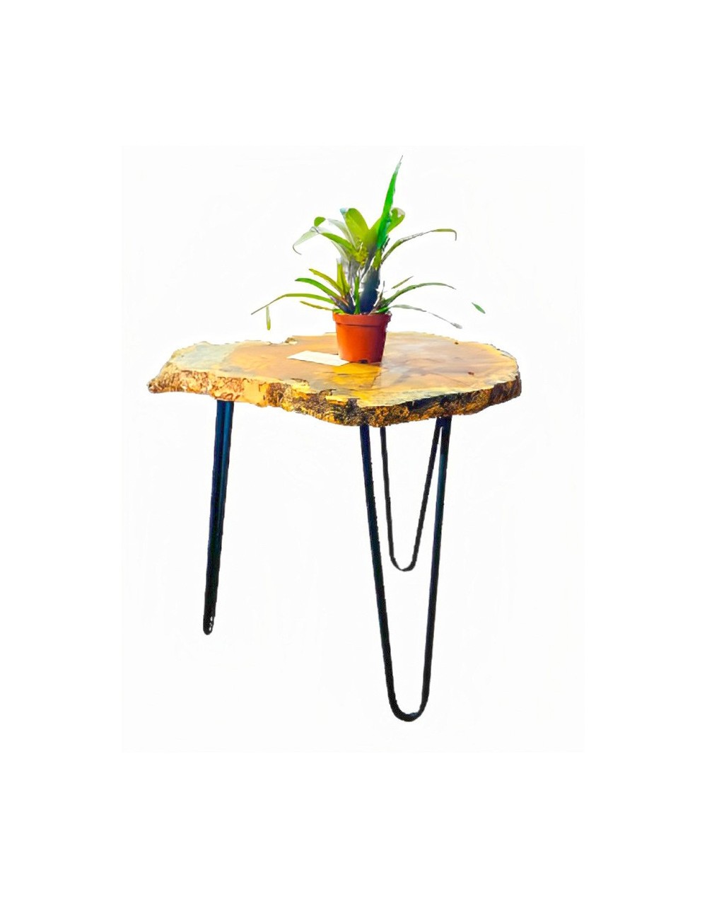 Mesa de corteza