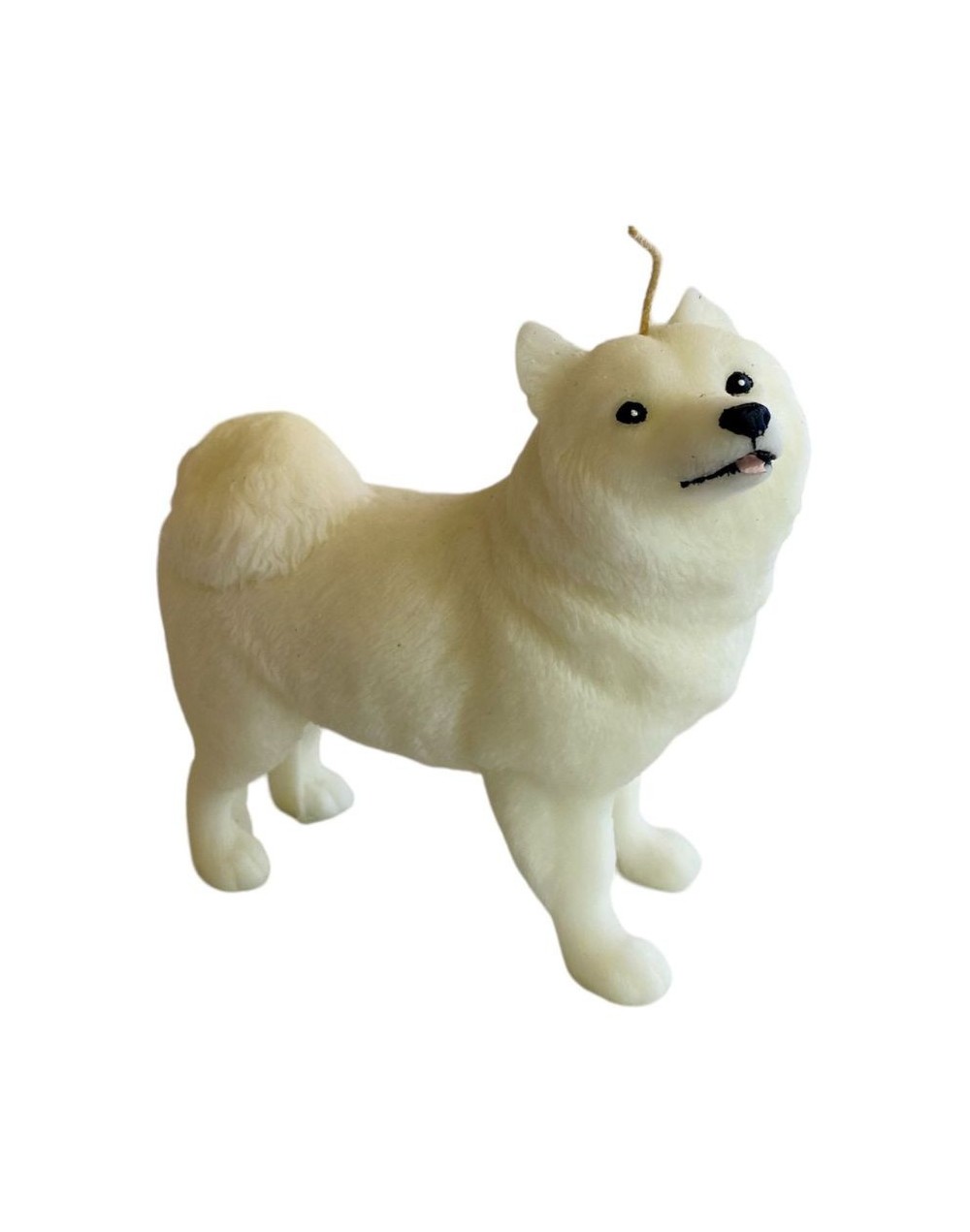 Samoyedo