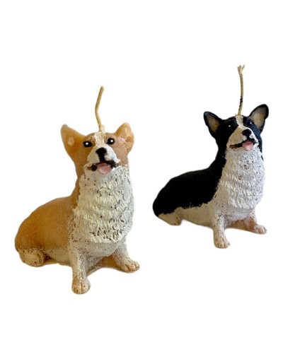 Corgi